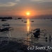 sunset_nlem_h_0094_bal3234.jpg